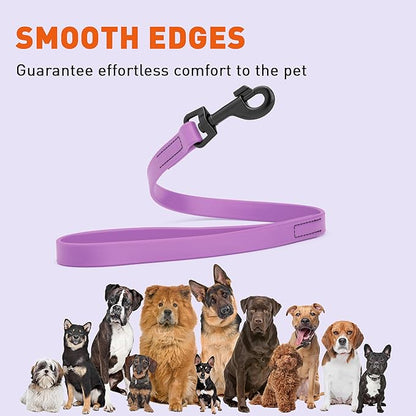 Dogline Biothane Waterproof Dog Leash Strong Coated Nylon Webbing with Black Hardware Odor-Proof Easy to Clean High Performance for Small or Large Dogs Made in USA 2 ft Lead, Amethyst Purple