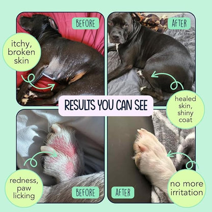Dog Allergy Relief Chews for Itchy Skin - Stop Paw Licking, Itchy Ears, Support Seasonal Allergy - with Probiotics and Salmon Oil - 120 Count - Bacon Flavor