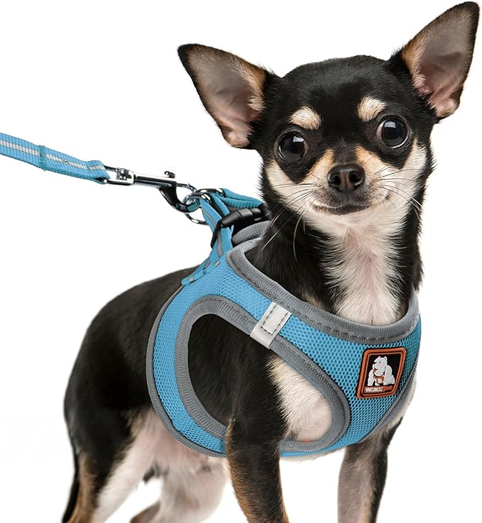 Dog Harness Medium Sized Dogs, Puppy Harness and Leash Set for Training, Running, Walking, Suitable for Small and Medium Dog Vest, Blue, S