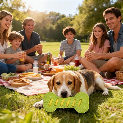 Interactive Dog Chew Sound Toy, Made of TPR Material, is bite-Resistant and Durable. It can be Used for Dog Teeth Cleaning and Training, and is an Ideal Toy for Dogs.（Green）