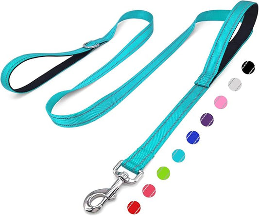 6 FT Dog Leash with 2 Padded Handle Nylon Reflective Dogs Leashes for Small Medium Large Dogs Sky Blue
