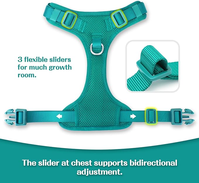No Pull Dog Harness for Small Medium Large Dogs - Adjustable 2 Layer Mesh Dog Vest with Dual Clip, Escape Proof, Quick Release, Lightweight Breathable Mesh for Walking Hiking (MARRS Green,M)