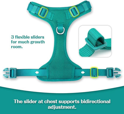 No Pull Dog Harness for Small Medium Large Dogs - Adjustable 2 Layer Mesh Dog Vest with Dual Clip, Escape Proof, Quick Release, Lightweight Breathable Mesh for Walking Hiking (MARRS Green,XL)