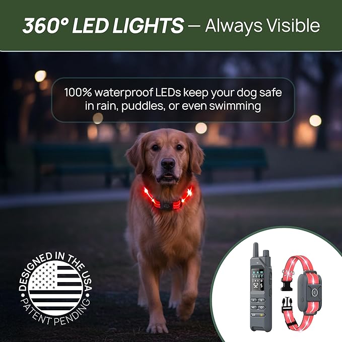 2-in-1 Dog Shock Collar with Remote & 360° LED Safety Lights – 4200FT Range Dog Training Collar, IPX8 Waterproof, 4 Training Modes, Rechargeable E-Collar for Small Medium & Large Dogs (10-120lbs)