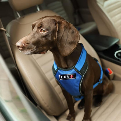 TACVEL 2 Pieces Emotional Support Animal Patch for Dog, Vest Removable Tactical Patches Hook and Loop Harness American Flag Dog Patches Set for Dog Harness Vest Collar
