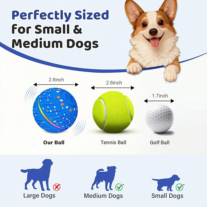 Sankell Interactive Dog Toys Ball - Smart Moving Bouncing Dog Ball with RGB Lights, E-TPU Material, 3 Play Modes Automatic Rolling Dogs Toy for Small Medium Dogs Keep Them Busy(Blue)