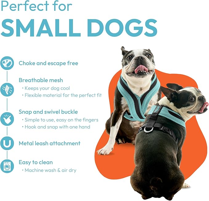 Gooby Comfort X One Dog Harness - Head-in Dog Harness for Small & Medium Sized Dogs - Escape-Free & Choke Free - Breathable Mesh, Shock Absorbing, Easy Snap & Swivel Buckles - Seattle Blue, Small