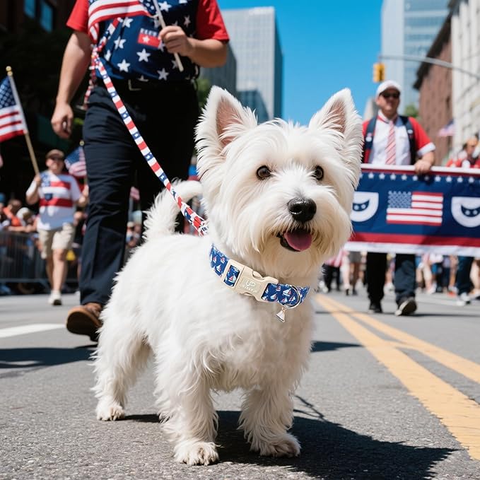 UP URARA PUP USA Flag Dog Collar, 4th of July Comfortable Cotton Dog Collars, American Flag Collar for Medium Girl Boy Dogs, Patriotic Collars with Sailboats Pattern