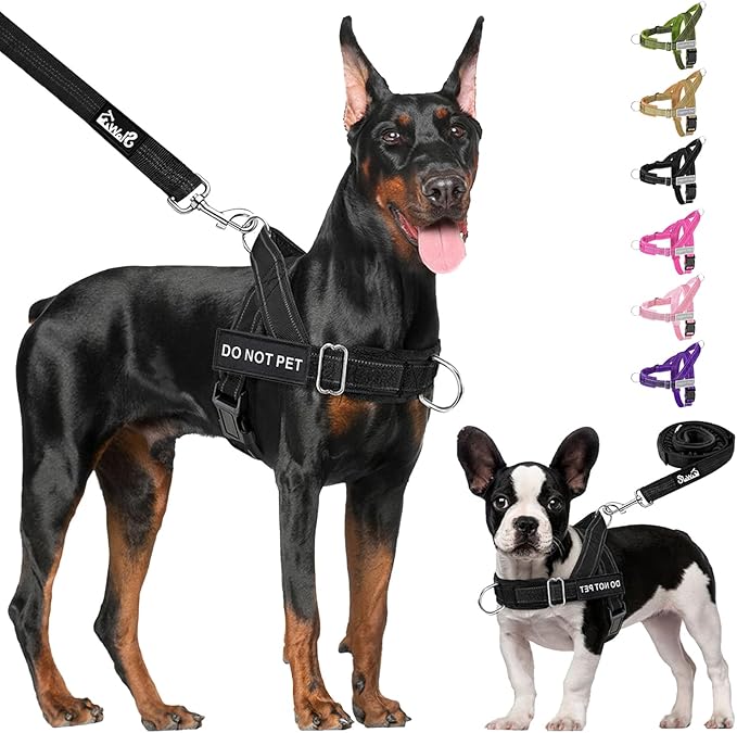 Lukovee No Pull Dog Harness & Leash Set - Heavy Duty Dog Vest Harness with Soft Padded for Medium Large Dogs, Adjustable Reflective Tactical Pet Harness for Easy Walk and Training (S, Black)