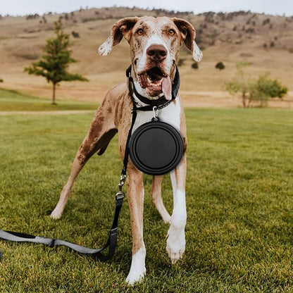 Paercute Collapsible Dog Bowl, Lightweight and Portable, Ideal for Outdoor, Hiking, Camping, and Walking Your Dog