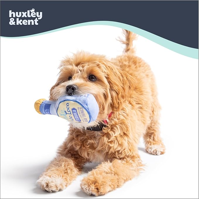 Huxley & Kent Funny Dog Toy w/Squeaker – Power Plush Squeaky Dog Toys for Small Dogs – Durable Small Stuffed Animal for Indoor Play & Fetch - Tiny Tuff Fido Loco