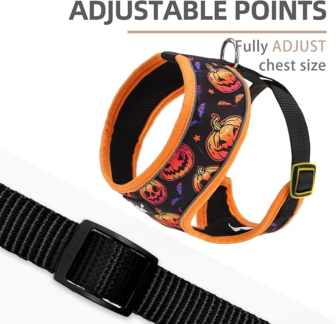 PUPTECK Soft Mesh Dog Harness and Leash Set Pet Puppy Cat Comfort Padded Vest No Pull Harnesses, Halloween Orange, M