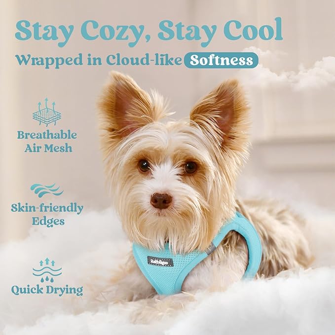 rabbitgoo Small Dog Harness, Step-in Soft Mesh Puppy Vest with Safety Buckle, Breathable Reflective Pet Harness for Small Medium Dogs, Mint Blue L