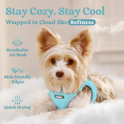rabbitgoo Small Dog Harness, Step-in Soft Mesh Puppy Vest with Safety Buckle, Breathable Reflective Pet Harness for Small Sized Dogs, Mint Blue M