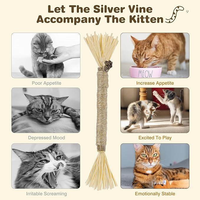 SINROBO 4 Pack Silvervine Sticks for Cats - Cat Chew Toy for Teeth Cleaning, Edible Matatabi Kitty Chew Sticks, Catnip Cat Toys for Indoor Cats (4 Sticks)