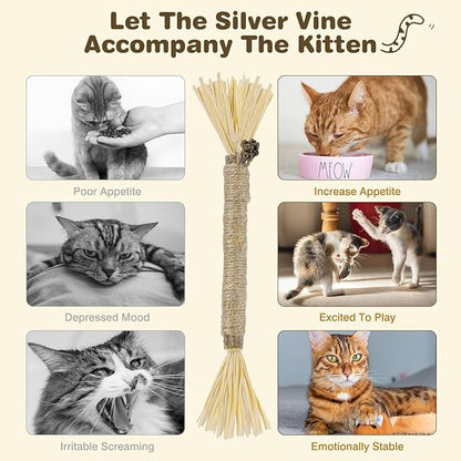 SINROBO 4 Pack Silvervine Sticks for Cats - Cat Chew Toy for Teeth Cleaning, Edible Matatabi Kitty Chew Sticks, Catnip Cat Toys for Indoor Cats (4 Sticks)