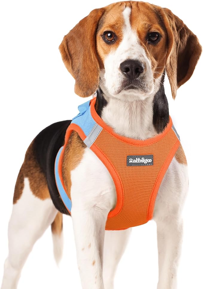 rabbitgoo Small Dog Harness, Step-in Soft Mesh Puppy Vest with Safety Buckle, Breathable Reflective Pet Harness for Small Medium Dogs, Blue & Orange XL