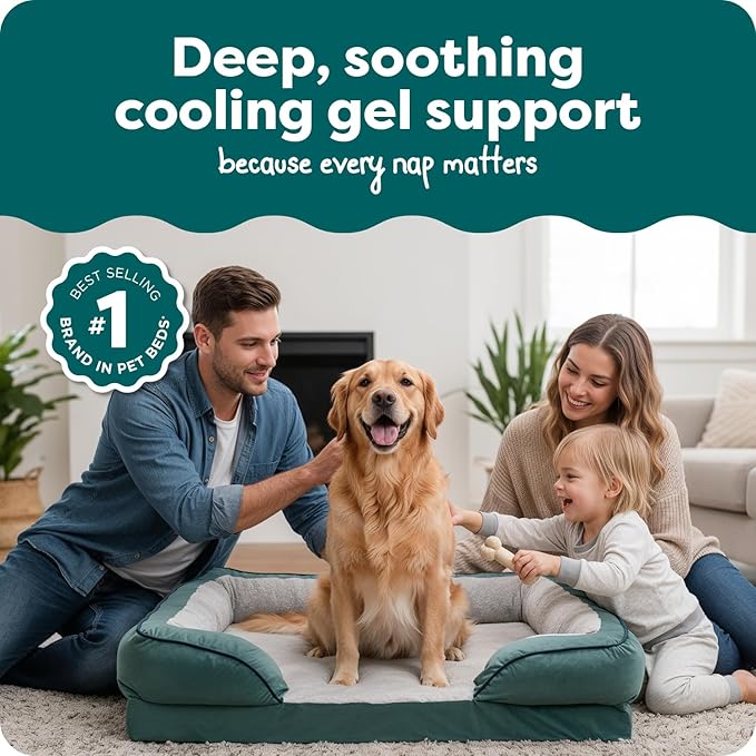 FurHaven Cooling Gel Dog Bed for Large Dogs, Comfort Sofa Bed with Cool Gel-Top Foam with a Solid Orthopedic Foam Base for Joint Support, Washable Cover, Jumbo XL, Plush & Velvet, Celadon Green.
