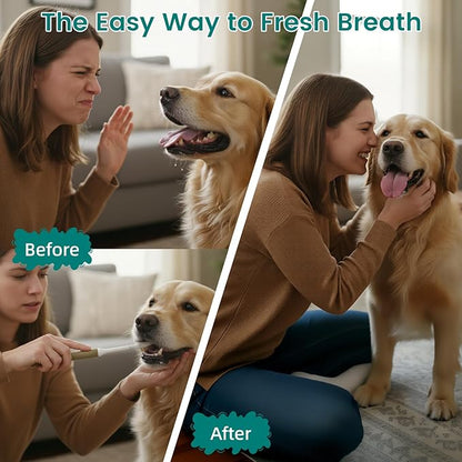 ERERMAB 4 Pack Dental Chews for Dogs, Freeze Dried Dog & Cat Treats to Help Clean Teeth & Freshen Breath,Supports Gum & Oral Health, Daily Oral Care Treats for Cats and Dogs