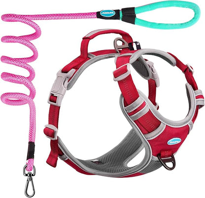 ThinkPet No Pull Harness Set Breathable Sport Harness with Handle - Reflective Padded Dog Safety Vest with Reflective Neon Dog Leash M Harness Leash Pack Red