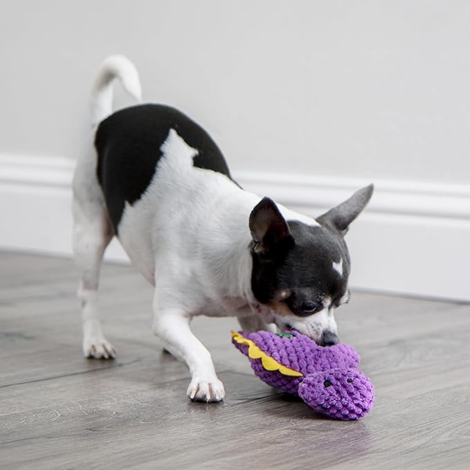 goDog Checkers Just for Me Dinos Bruto Squeaky Plush Dog Toy, Chew Guard Technology - Purple, Mini
