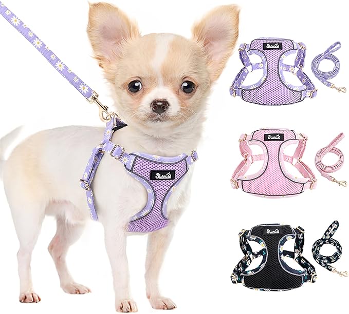 SlowTon Small Dog Harness - No Pull Dog Harness and Leash Set, Soft Mesh Lightweight Puppy Vest Harnesses, Adjustable Pet Harnesses for XXS XS Small Medium Easy Walk Hiking (Purple, M)