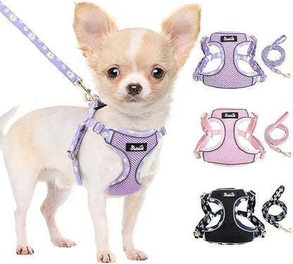 SlowTon Small Dog Harness - No Pull Dog Harness and Leash Set, Soft Mesh Lightweight Puppy Vest Harnesses, Adjustable Pet Harnesses for XXS XS Small Medium Easy Walk Hiking (Purple, XS)