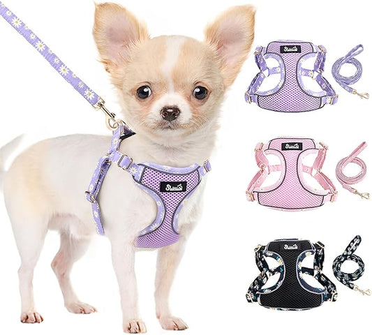 SlowTon Small Dog Harness - No Pull Dog Harness and Leash Set, Soft Mesh Lightweight Puppy Vest Harnesses, Adjustable Pet Harnesses for XXS XS Small Medium Easy Walk Hiking (Purple, XS)