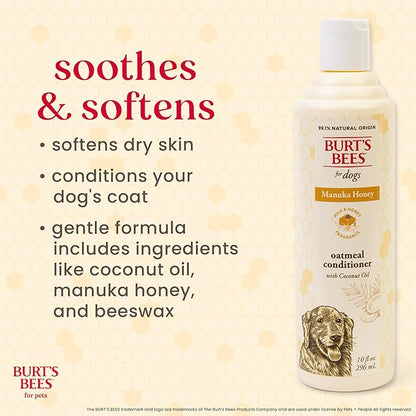Burt’s Bees Manuka Honey Oatmeal Conditioner for Dogs with Coconut Oil, 10 Fl Oz