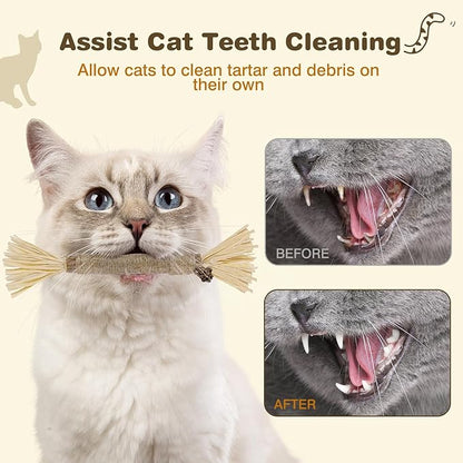 SINROBO 4 Pack Silvervine Sticks for Cats - Cat Chew Toy for Teeth Cleaning, Edible Matatabi Kitty Chew Sticks, Catnip Cat Toys for Indoor Cats (4 Sticks)