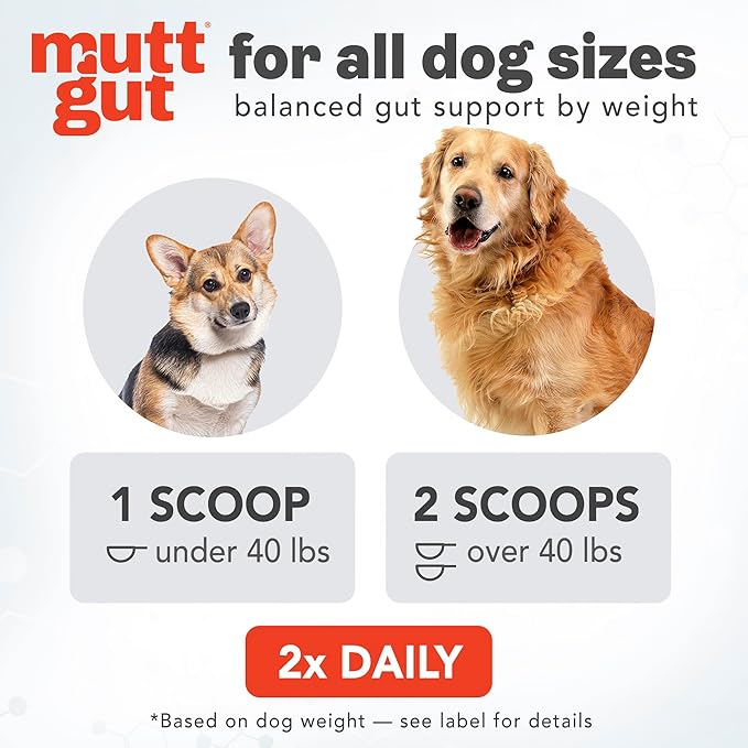 All Natural 3 in 1 Probiotics for Dogs-Postbiotic Powder Supplement-Made in USA- Digestive Enzymes Made with 135 Billion CFUs, Plant-Based Anti-Diarrhea & Antioxidant Dogs Probiotic(120g)