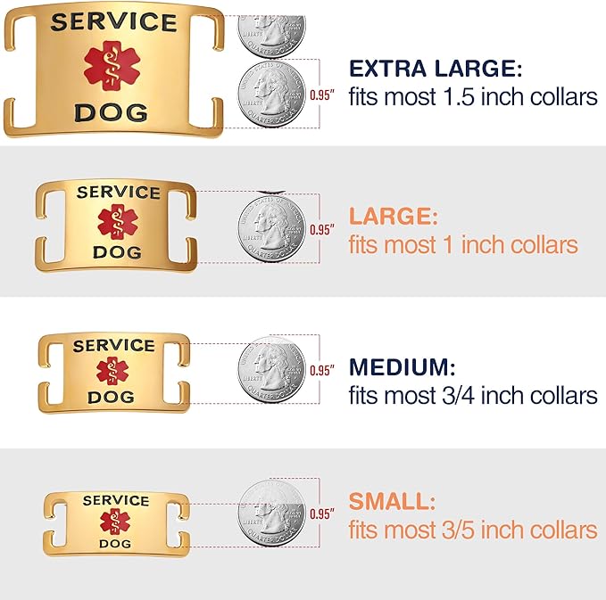 Leash King Surgical Stainless Steel PVD Gold K9 Pet ID Jewelry Tag - Slide on Dog Collar or Harness Quickly and Securely – No Noise, Durable - Stylish & Comfortable - Perfect for Dogs & Cats/Small