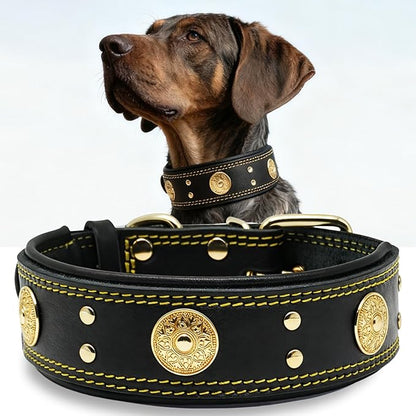 Leather Dog Collar, 2 inches Wide Heavy Duty Genuine Leather Collars, Handmade, Soft, and Luxury, Eye-catching Best Choice for Large and Medium Breed Dogs, Black-Gold 21-25 inches