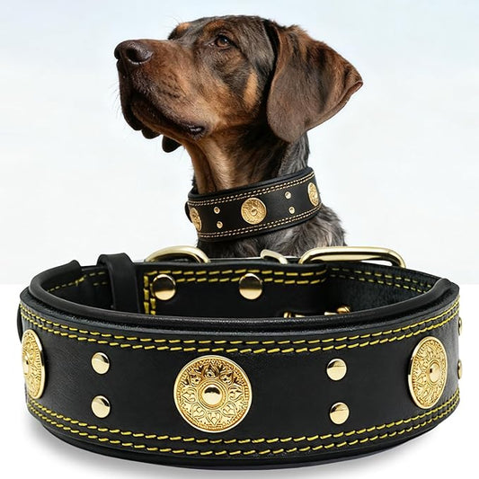 Leather Dog Collar, 2 inches Wide Heavy Duty Genuine Leather Collars, Handmade, Soft, and Luxury, Eye-catching Best Choice for Large and Medium Breed Dogs, Black-Gold 21-25 inches