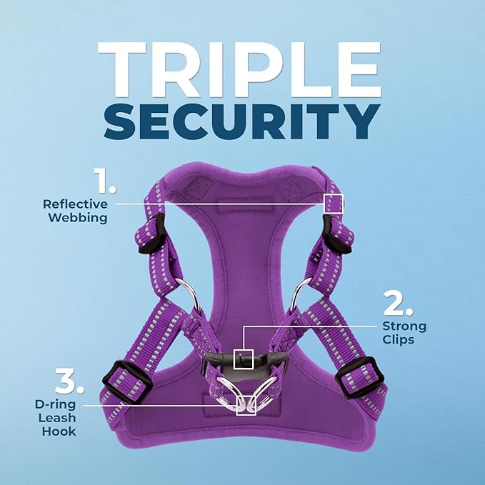 Best Pet Supplies Voyager Adjustable Step-in Flex Breathable Mesh Dog Harness for Small Medium Large Dogs Leash Set (Purple), XL