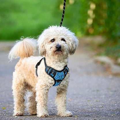 BARKBAY No Pull Dog Harness Large Reflective Dog Harness with Front Clip and Easy Control Handle for Walking Training Running with ID tag Pocket(Blue/Black,XS)