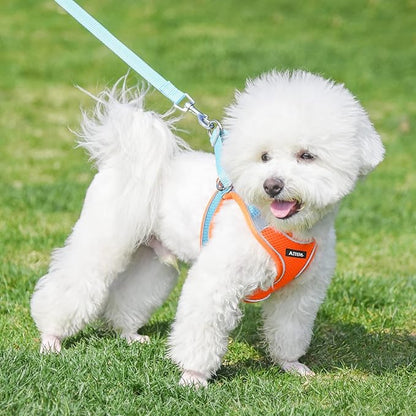 AIITLE Escape Proof Dog Harness - Step in Adjustable Dog Harness No Choke Over with Breathable Mesh and Quick-Release Buckle for All Weather- Outdoor Walking, Training for Medium Dogs Orange XL