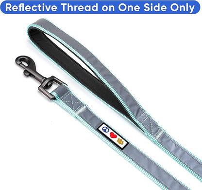Pawtitas Teal Dog Leash 6 ft Custom ID Lead for Dogs & Puppies Reflective Comfortable Padded Handle Embroidered Name & Phone Number