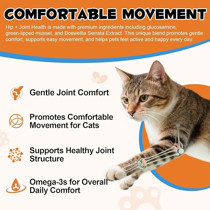 Ruduwu Hip & Joint Bites for Cats - Chicken Flavored Glucosamine Joint Supplement for Cats - Cat Joint Supplement for HIPS & Joints, Cat Arthritis Pain Relief, with Green Lipped Mussel, 3.7 oz