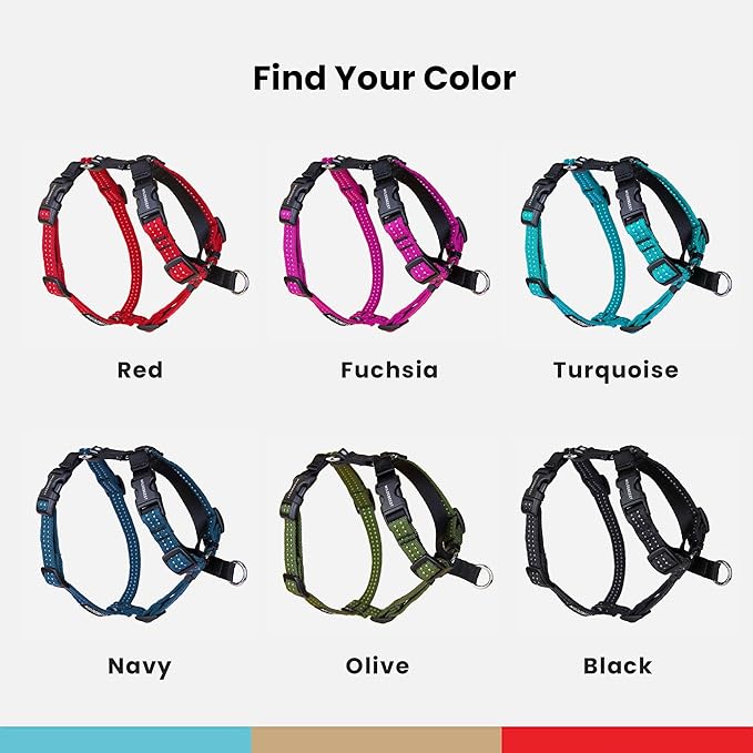 Wildebeest Valencia No Pull Dog Harness | Front and Back Leash Clips | Soft Padded Straps | Lightweight, Adjustable, Easy On/Off for Training and Dog Walking | Small Turquoise
