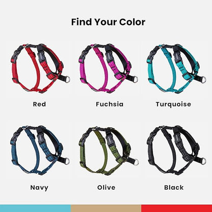 Wildebeest Valencia No Pull Dog Harness | Front and Back Leash Clips | Soft Padded Straps | Lightweight, Adjustable, Easy On/Off for Training and Dog Walking | X-Large Fuchsia