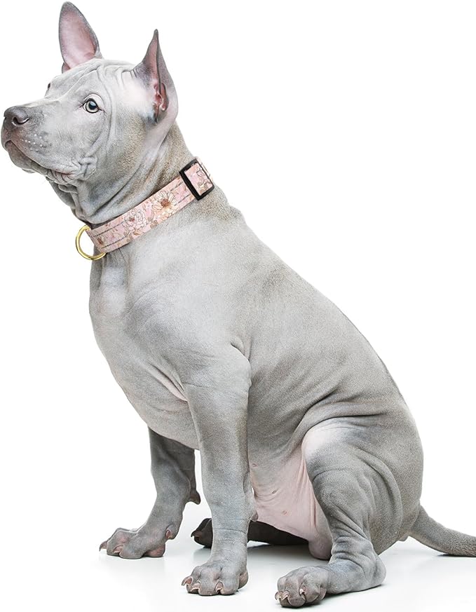 Reflective Dog Collar for Medium Dogs, Cute Flower Theme Adjustable Heavy-Duty Nylon Puppy Collar for Boy and Girl Female, Soft Pet Accessories with Quick Release Buckle, Neck 14-20", Pink