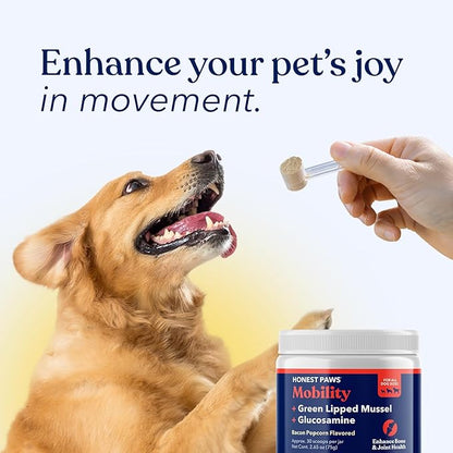 Honest Paws Glucosamine for Dogs – Joint & Mobility Supplement Powder with Green Lipped Mussel, Fish Oil & MSM – Supports Hip & Joint Health, Support Stiffness, Dog Supplies