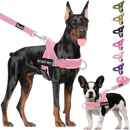 Lukovee No Pull Dog Harness & Leash Set - Heavy Duty Dog Vest Harness with Soft Padded for Medium Large Dogs, Adjustable Reflective Tactical Pet Harness for Easy Walk and Training (XL, PI)