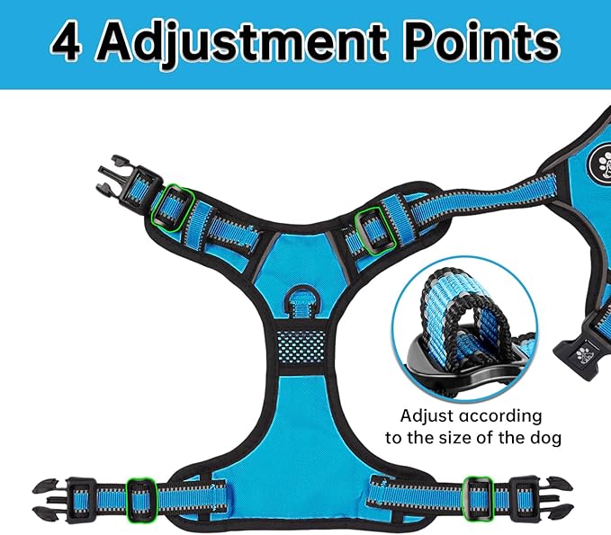 NESTROAD No Pull Dog Harness,Adjustable Oxford Dog Vest Harness with Leash,Reflective No-Choke Pet Harness with Easy Control Soft Handle for Large Dogs(Large,Blue)