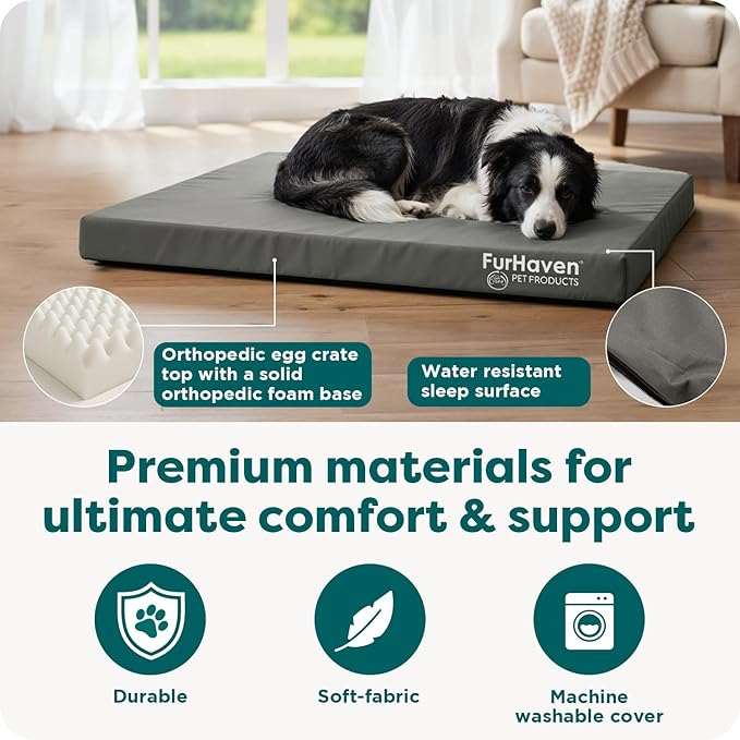 Furhaven Water-Resistant Orthopedic Dog Bed for Large/Medium Dogs w/ Removable Washable Cover, For Dogs Up to 55 lbs - Indoor/Outdoor Logo Print Oxford Polycanvas Mattress - Forest, Large