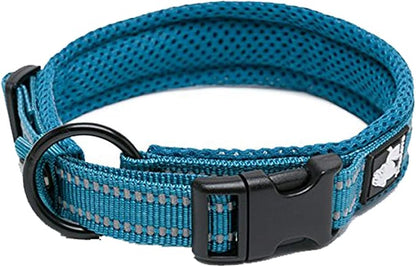 TRUE LOVE Dog Collar Reflective Premium Duraflex Buckle,High Grade Nylon Webbing No Choke Basic Collars TLC5011(Blue,XS)