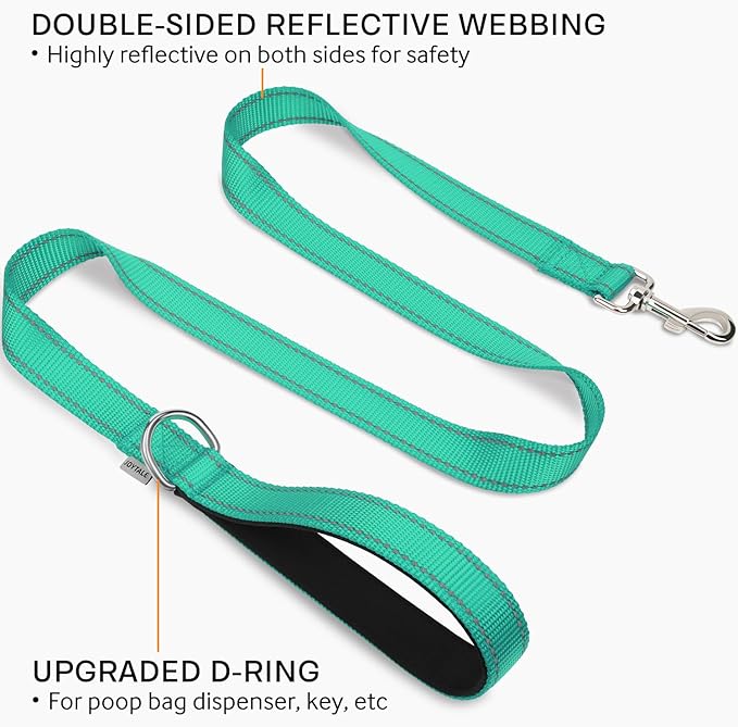 Joytale Double-Sided Reflective Dog Leash, 4 FT, Padded Handle Nylon Heavy Duty Leashes for Small & Medium Dogs Walking, Teal