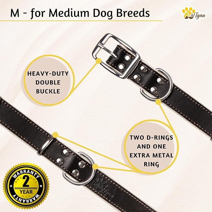ADITYNA Heavy-Duty Leather Dog Collar for Medium Dogs - Soft Padded for Comfort - Black Dog Collar for Walking, Training, and Hiking