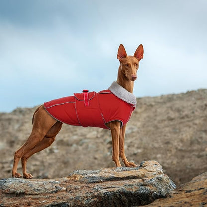 Lelepet Warm Dog Coat Waterproof Dog Jacket Reflective Fleece Vest with Adjustable Buckle Hook & Loop, Windproof Winter Jacket Dogs Coats for Small Medium Large Dogs, Red, M